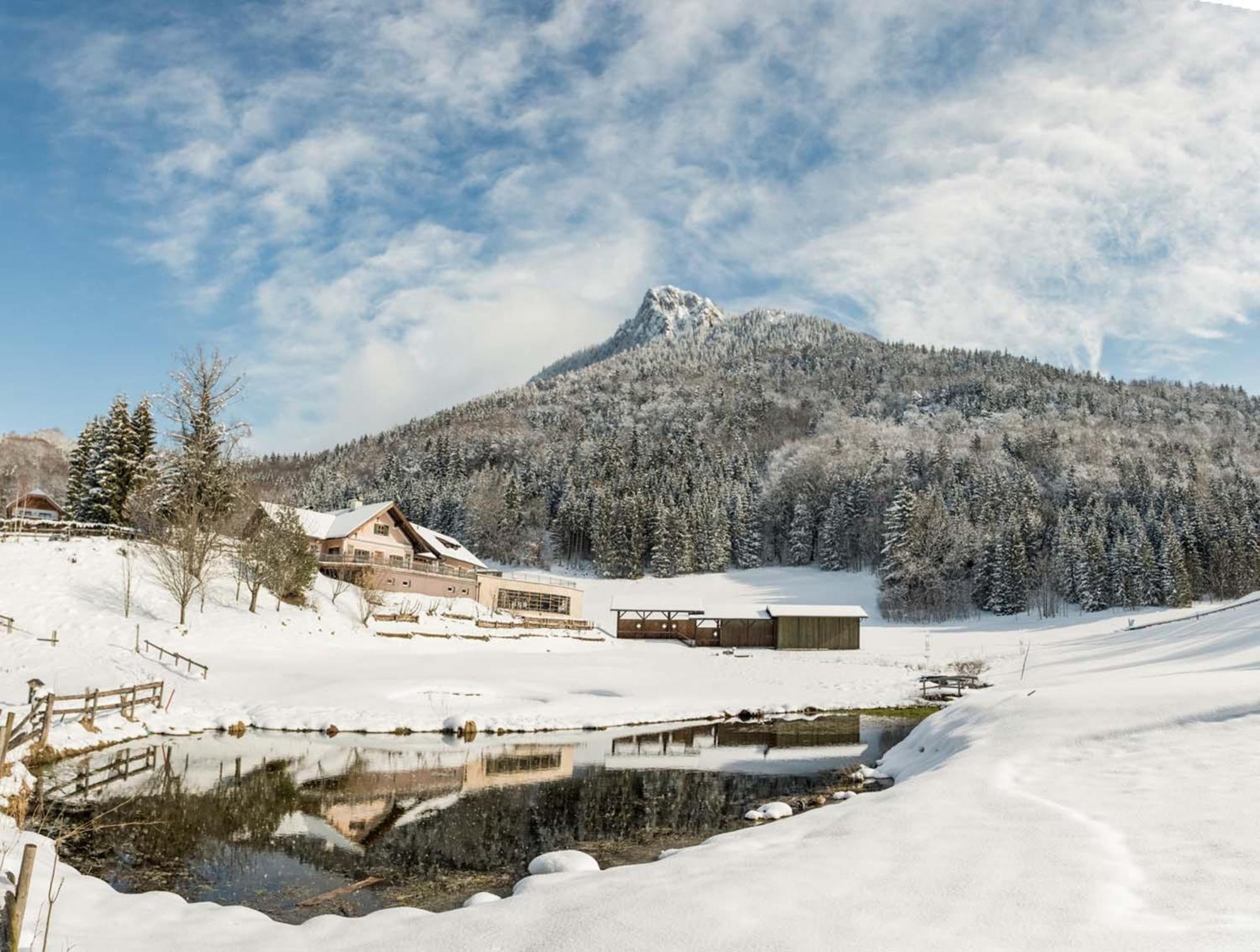 Waldhof Fuschlsee Resort Fuschl am See Esterno foto